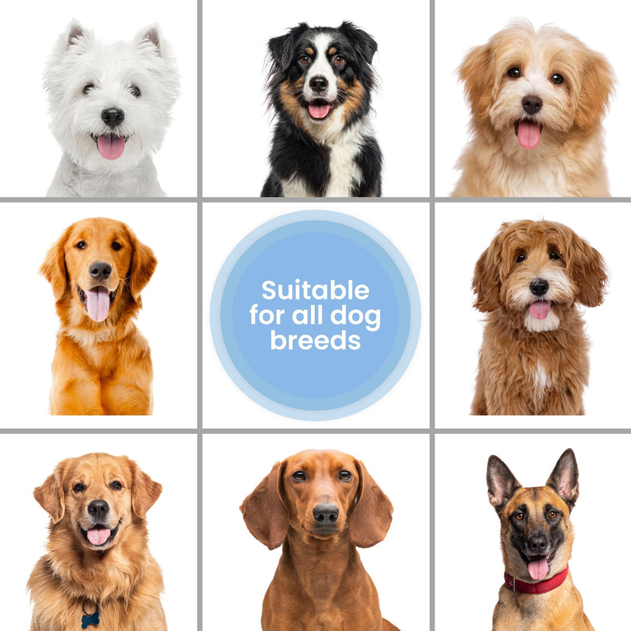 Nine square portraits of different dogs arranged around a blue badge that reads suitable for all dog breeds on a white background.