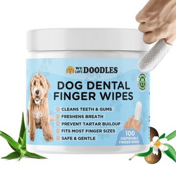 White plastic jar with a blue We Love Doodles label and a dog image. A hand holds a white textured finger wipe near the lid. Aloe leaves and a white flower sit beside the jar.