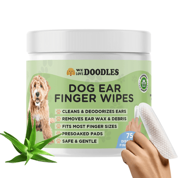 Front view of a white jar with a green label that reads Dog Ear Finger Wipes. A hand shows a white textured finger pad beside the jar and an aloe leaf graphic sits near the base.