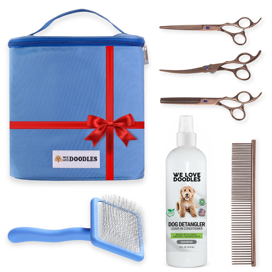 Blue handled slicker brush, white detangler bottle, metal comb, and three bronze scissors laid beside a blue zip bag with a red bow and carry handle.