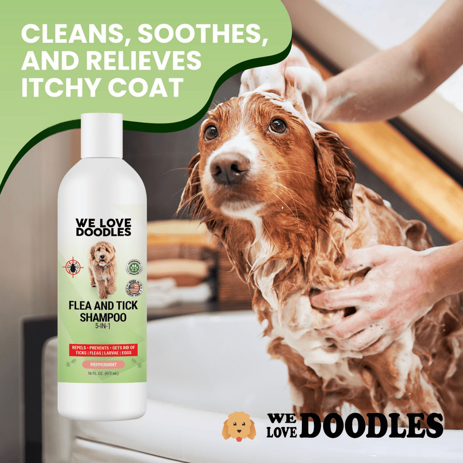 A wet brown and white dog stands in a tub while hands massage a foamy lather. The shampoo bottle is shown on the left with a green header that says cleans soothes and relieves itchy coat.