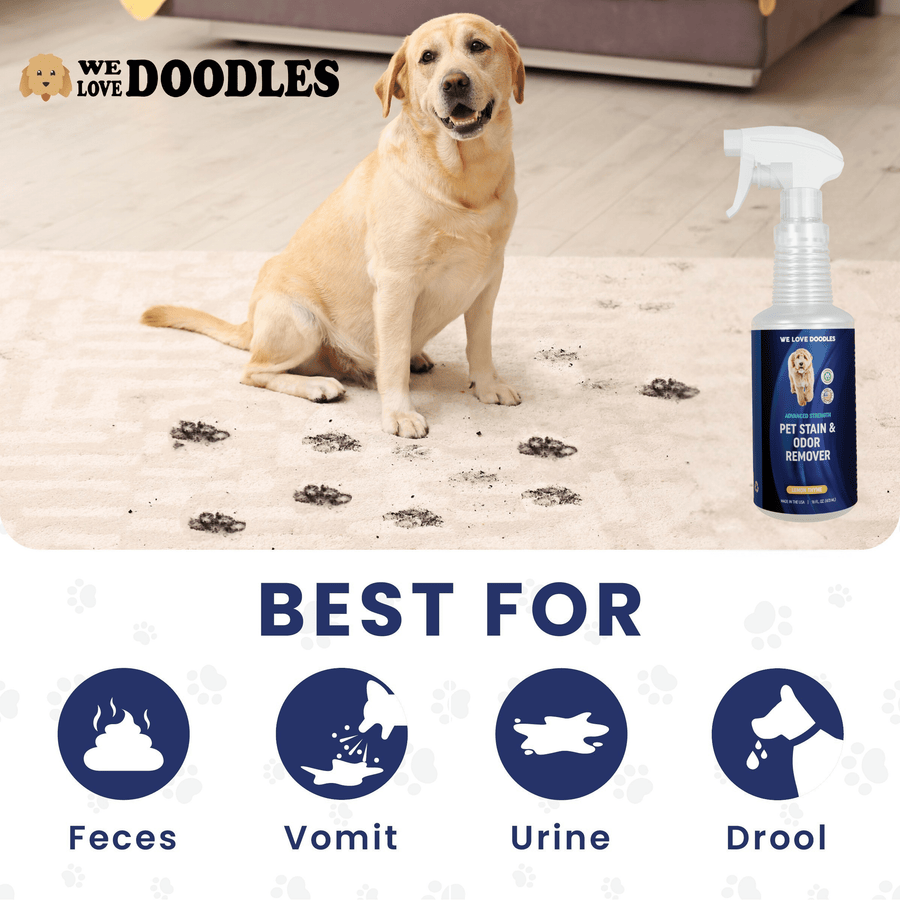 A yellow dog sits on a light rug with muddy paw prints. The bottom panel shows icons for feces vomit urine and drool. The product spray bottle appears on the right.