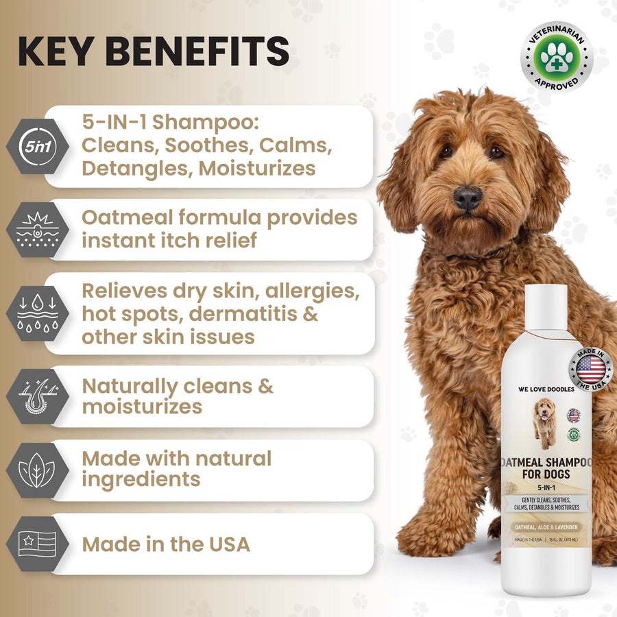 A curly brown dog sits next to a list of key benefits including cleans, soothes, calms, detangles, and moisturizes. The Oatmeal Shampoo for Dogs bottle is shown at the bottom.