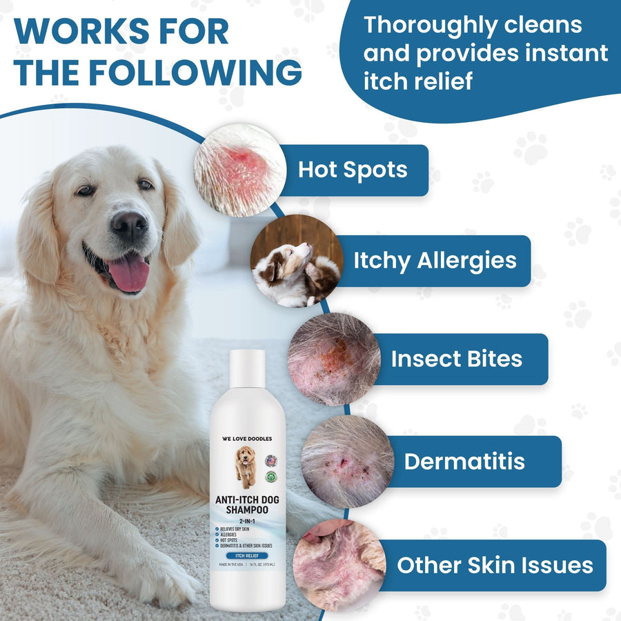 Infographic lists hot spots itchy allergies insect bites dermatitis and other skin issues beside a seated dog and the shampoo bottle.