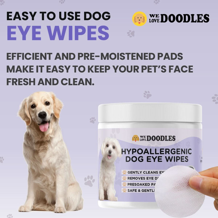 Purple graphic reads Easy to use dog eye wipes. A golden retriever sits next to the product jar while a hand holds a textured round pad in the foreground. Paw prints decorate the background.