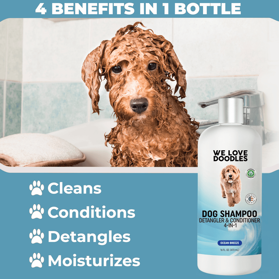 Graphic shows a lathered curly dog in a bathtub next to the We Love Doodles Ocean Breeze shampoo with text noting cleans conditions detangles and moisturizes.