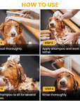 Photo grid shows wet coat, apply shampoo and lather, let the shampoo sit, and rinse thoroughly. Hands wash a brown dog in a grooming sink with spray nozzle.