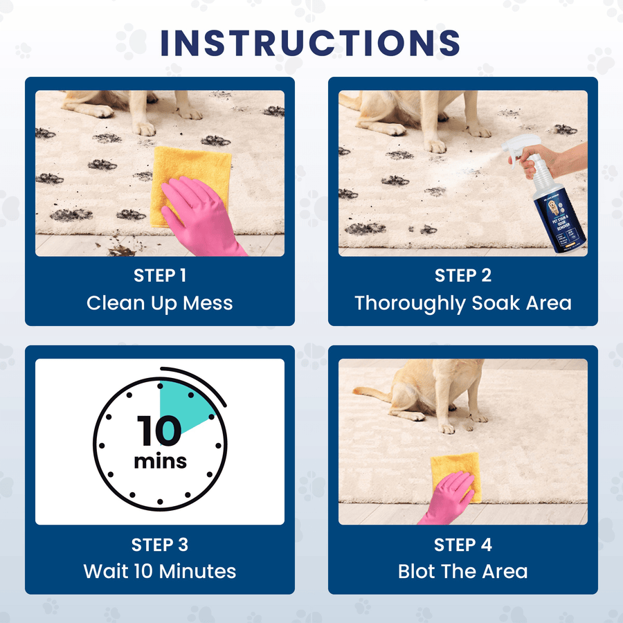 Instruction panels show clean up the mess thoroughly soak the area wait 10 minutes then blot the area. Images include a dog on carpet and hands using a cleaning cloth.