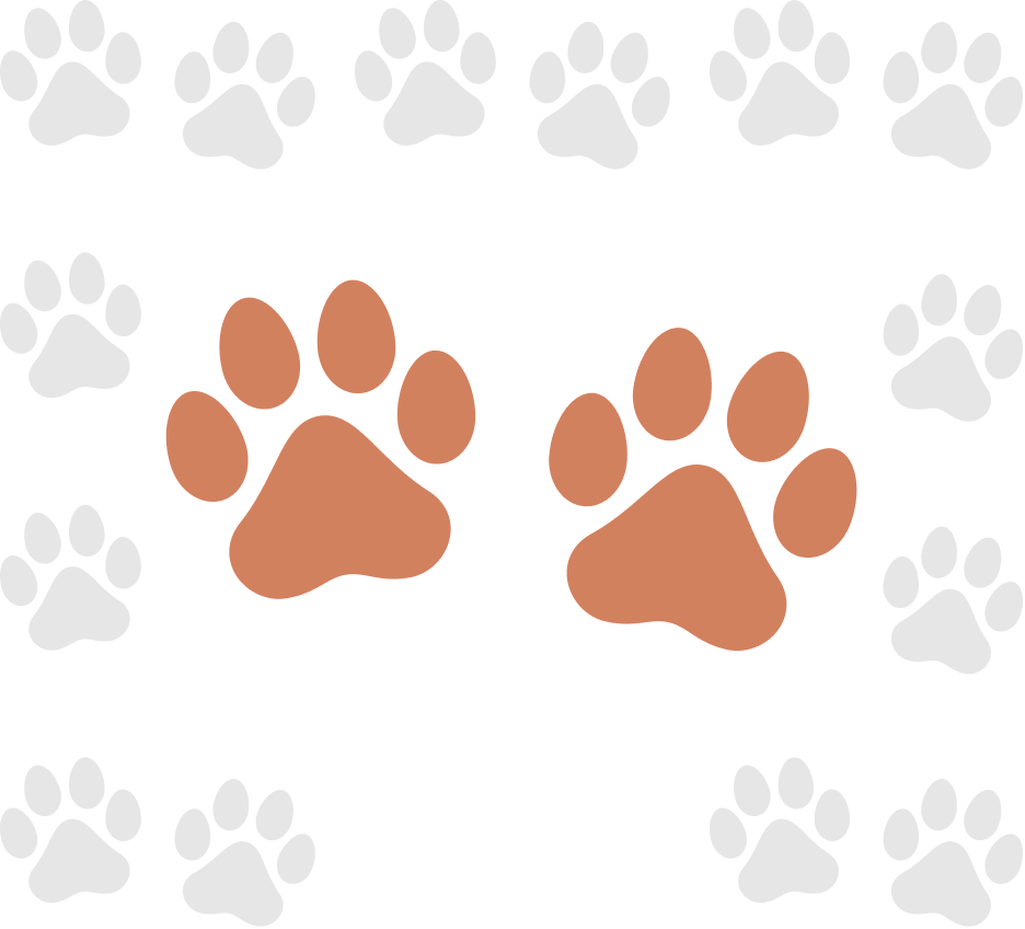 Main Paw