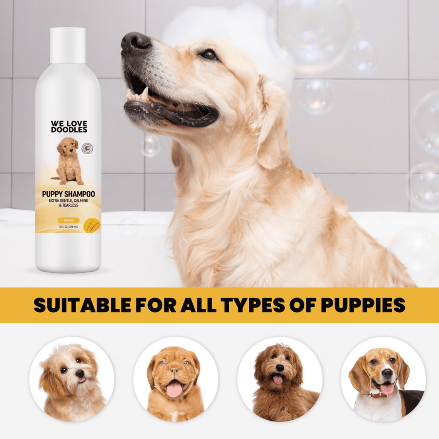 Golden retriever sits in a white tub with soap bubbles and a foam cap. A We Love Doodles Puppy Shampoo bottle is placed beside the dog. Banner notes suitable for all puppies.