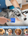 Person brushes a speckled dog with a blue slicker brush. Banner reads suitable for all types of dogs with small breed images shown along the bottom.