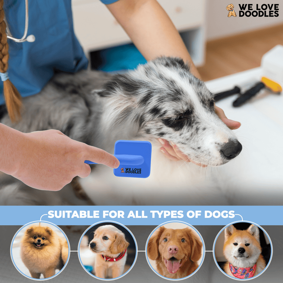 Person brushes a speckled dog with a blue slicker brush. Banner reads suitable for all types of dogs with small breed images shown along the bottom.