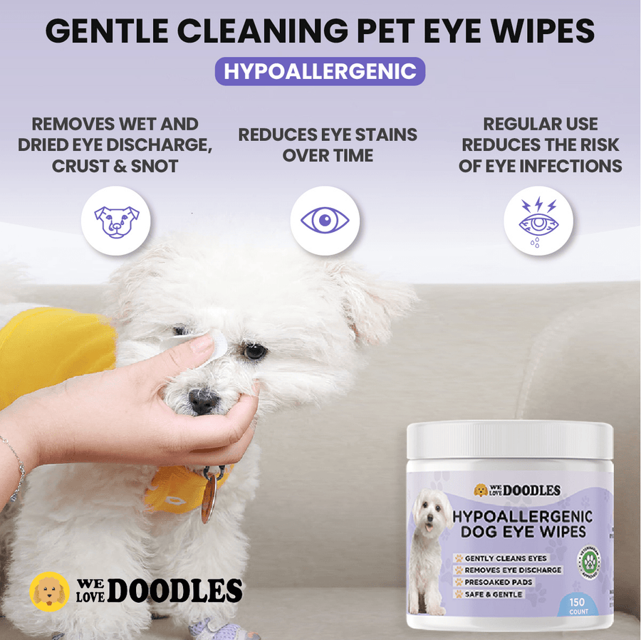 Close view of a hand using a textured round pad to clean around a fluffy white dog’s eye. Text highlights discharge removal and stain reduction. A product jar appears in the scene.