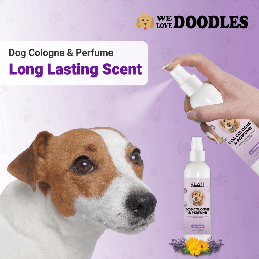 A hand sprays the We Love Doodles bottle toward a brown and white dog on a purple backdrop with paw prints and text showing long lasting scent.