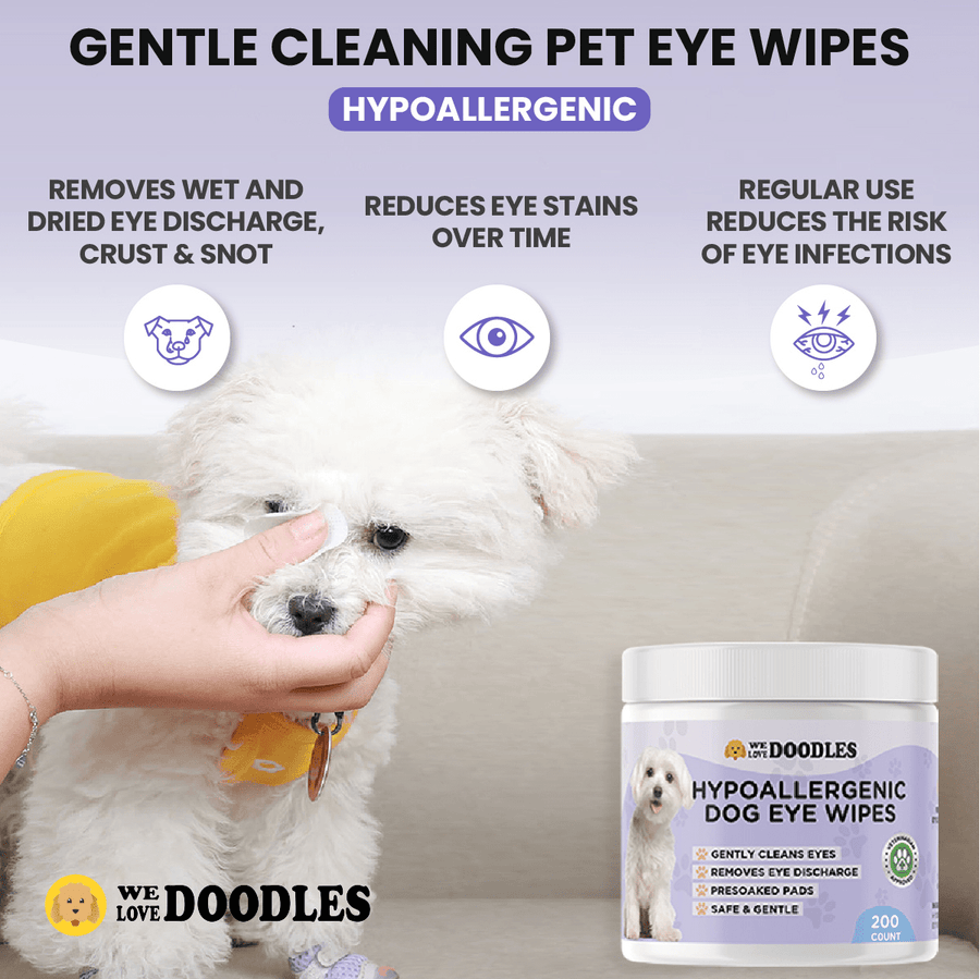A fluffy white dog sits while a hand uses a round wipe pad on the eye area. Text callouts note discharge removal and stain reduction. The product jar appears at the bottom right.
