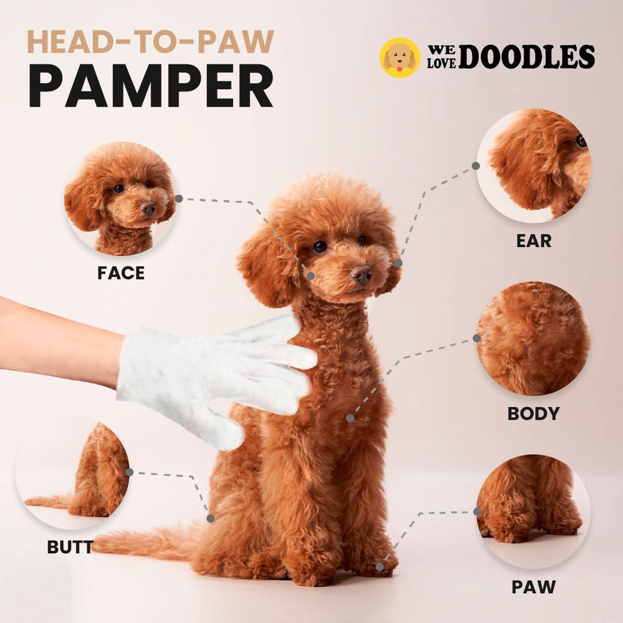 Diagram highlights face, ear, body, butt, and paw areas on a small brown dog while a white glove wipe reaches toward the coat.