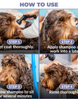 Four photo panels show a brown dog being bathed. Steps include wet the coat, apply shampoo and lather, let it sit for several minutes, and rinse thoroughly.