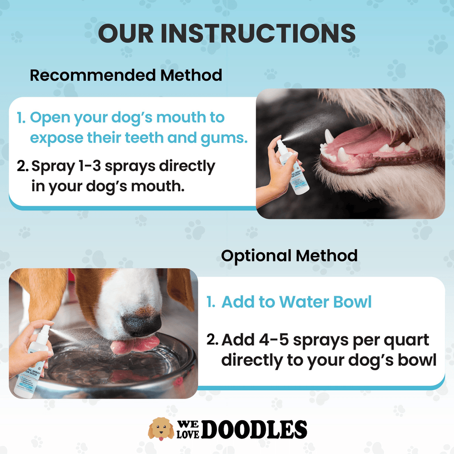 Instruction graphic shows two methods. Open the mouth to expose teeth and gums then spray one to three times directly. Optional method adds four to five sprays per quart of water into the bowl.