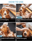 Four photo panels show the bath process. Wet the coat, apply shampoo and lather, let it sit for several minutes, then rinse thoroughly. A person washes a medium sized dog in a sink area.