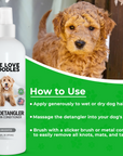 Green graphic with a white detangler bottle and a curly dog that explains apply to wet or dry coat, massage in, then brush with a slicker brush or metal comb.