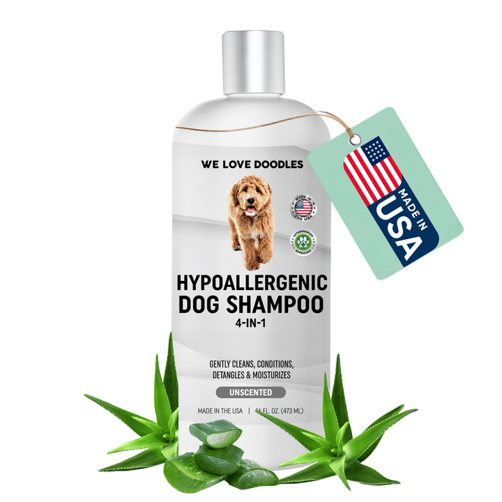 White bottle labeled Hypoallergenic Dog Shampoo 4-in-1 unscented with a Made in USA tag. Aloe leaves sit around the base of the bottle on a clean white background.