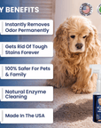 Dog rests on carpet beside callouts that say removes odor gets rid of tough stains safer for pets and family natural enzyme cleaning and made in the USA. Product bottle shown at bottom.