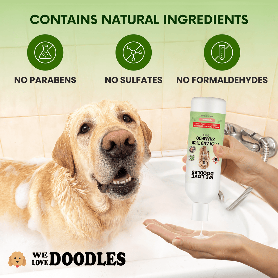 A smiling yellow lab sits in a bubbly tub while a person pours white shampoo into their palm. Icons show no parabens no sulfates and no formaldehydes along the top of the image.