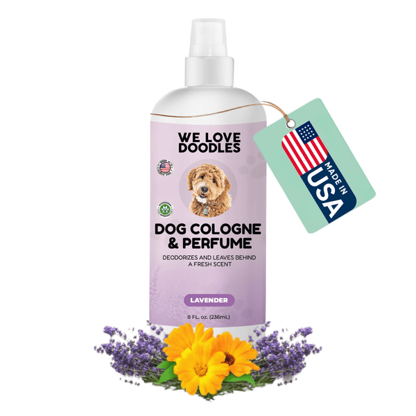 Dog Deodorizer Spray | Calming Lavender Eliminates Odors Fast – We