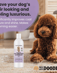A curly dog rests on a round rug in a living room with the We Love Doodles conditioner bottle in front. Text notes improved coat texture and shine.