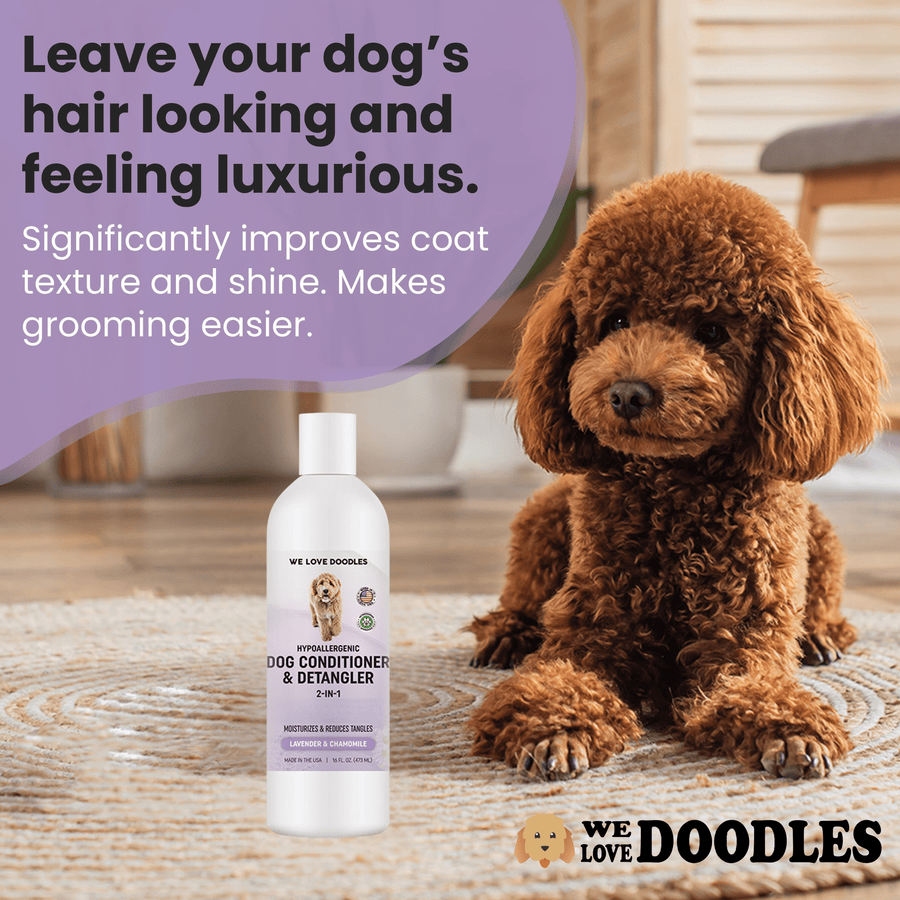 A curly dog rests on a round rug in a living room with the We Love Doodles conditioner bottle in front. Text notes improved coat texture and shine.