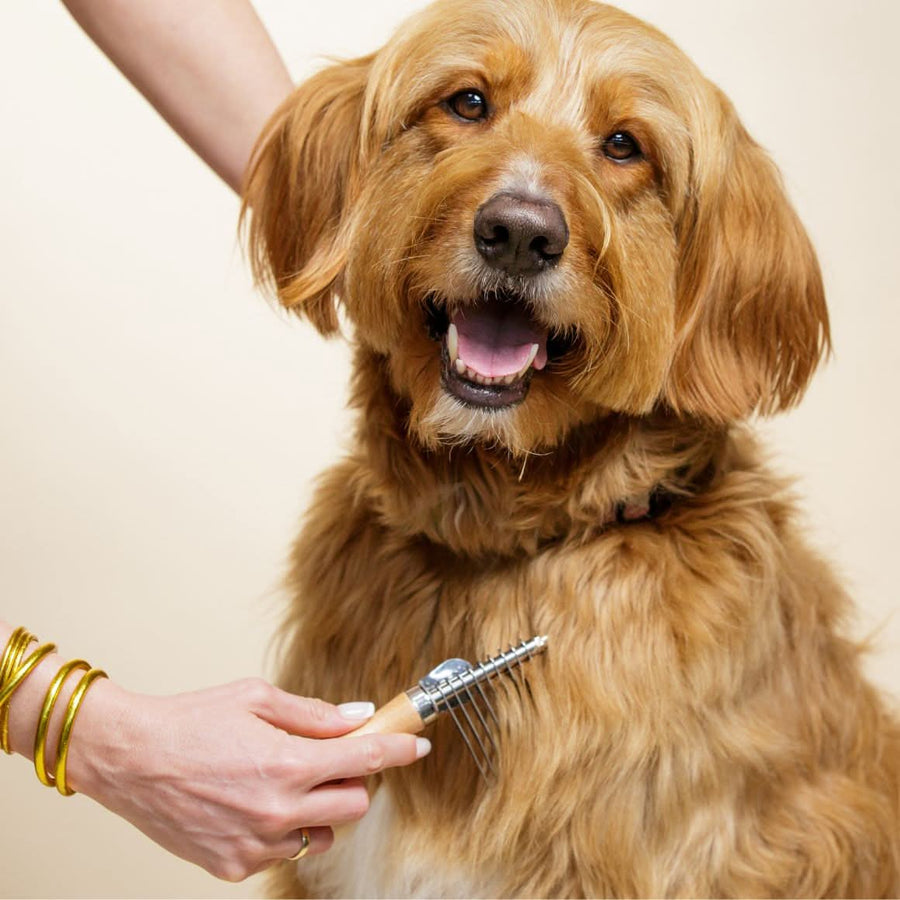 Tan long haired dog being groomed on the chest with a metal dematting rake that has a wood handle. A hand holds the tool while the dog looks happy with mouth open.