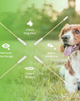 Dog sitting on grass with four long swabs and icons that show clean ears, remove discharge, apply medicine, and clean minor wounds.