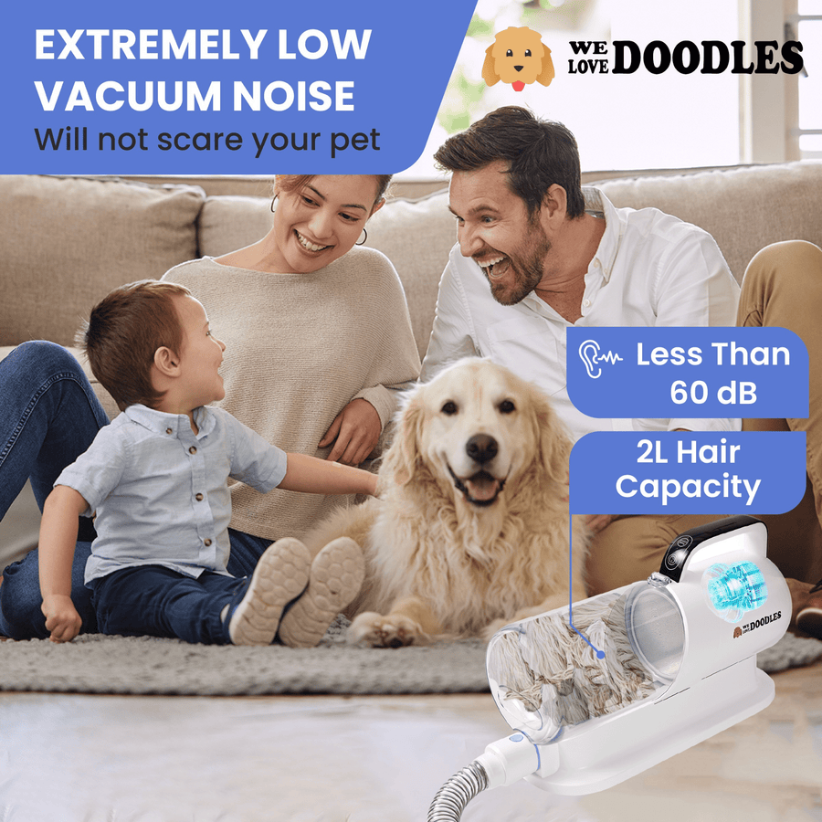 Family room image highlighting quiet operation and capacity. Callouts show vacuum noise less than 60 dB and a large 2L hair bin while the white unit collects fur.