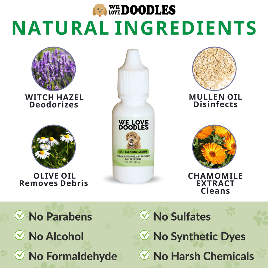 Center bottle of ear cleaning serum is surrounded by circles for witch hazel, mullein oil, chamomile extract, and olive oil. Bottom checklist notes the formula avoids common harsh chemicals.