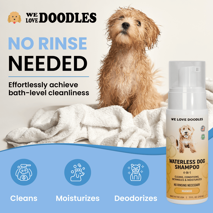 A wet light brown dog sits on white towels beside bold text that says no rinse needed. Icons show cleans, moisturizes, and deodorizes. The bottle appears at the right edge.