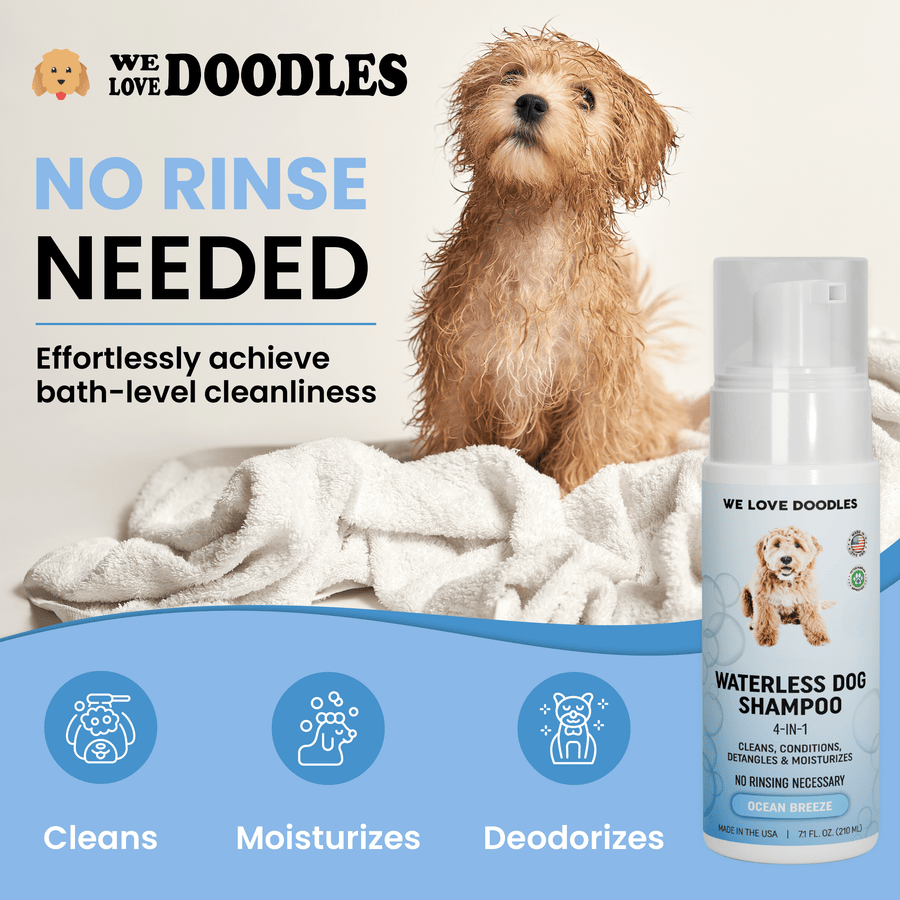 A damp dog sits on white towels near bold text that says No Rinse Needed. Icons show cleans, moisturizes, and deodorizes with the Waterless Dog Shampoo bottle on the right side.