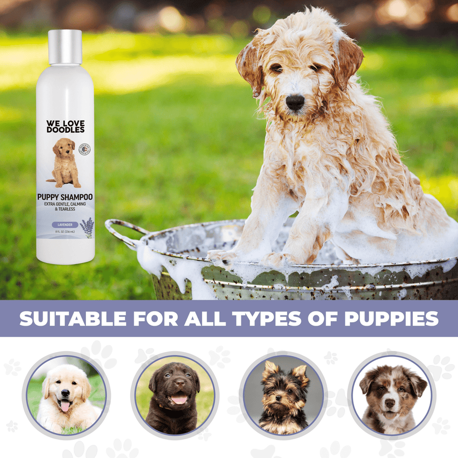 Wet puppy covered in suds sitting in a metal tub on the lawn. Banner states suitable for all types of puppies with small breed icons.