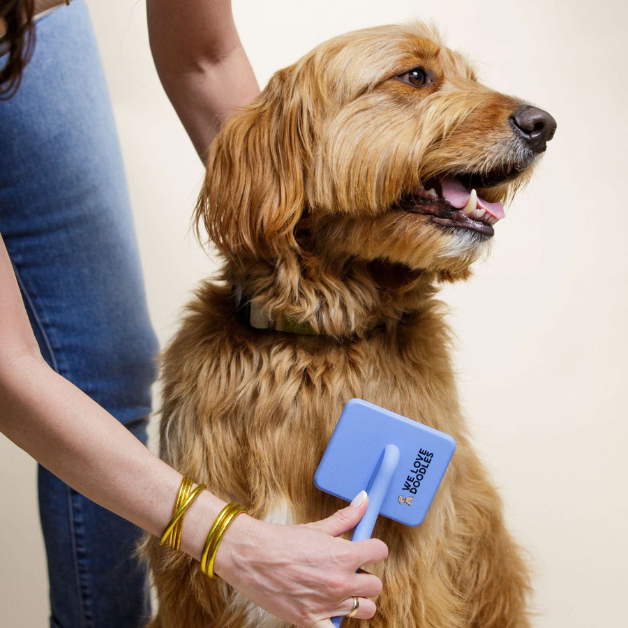 Two blue slicker brushes shown from the side that highlight curved handles and long bent stainless pins on a clean white background.