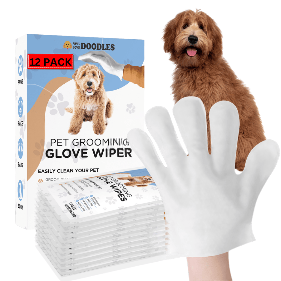 Box shows a 12 pack of We Love Doodles glove wipes with a brown dog, a white glove on a hand, and a stack of sealed wipe packs placed in front.