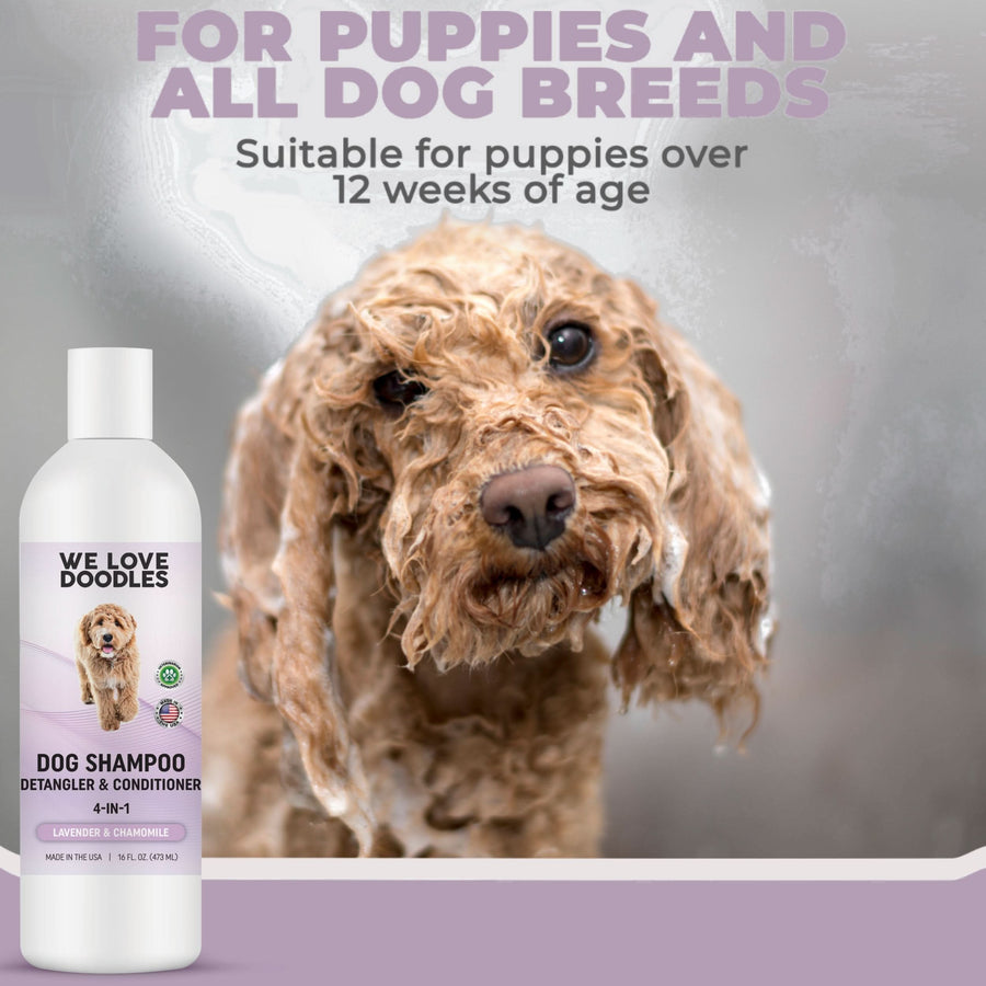 Close view of a wet curly coated dog during a bath with foam on the fur. Text notes for puppies and all dog breeds and suitable for puppies over 12 weeks. A bottle stands on the left.