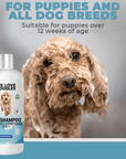 Close view of a wet curly puppy with suds next to an Ocean Breeze shampoo bottle. Text notes suitable for puppies over 12 weeks and for all dog breeds.