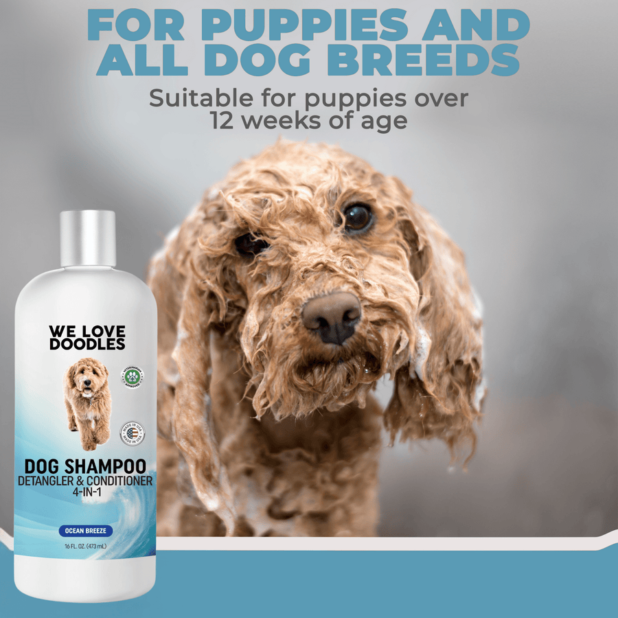 Close view of a wet curly puppy with suds next to an Ocean Breeze shampoo bottle. Text notes suitable for puppies over 12 weeks and for all dog breeds.