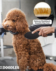 Hand uses a black pin brush with gold pins on a small curly brown dog. Inset shows the pins with text about reducing shedding and smoothing the coat.