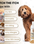 A fluffy brown dog stands beside a list of skin concerns such as dry skin, dermatitis, skin biting, itchy allergies, and other issues. The product bottle and a small pile of oats are shown.