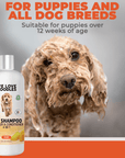 Close up of a soapy doodle dog with message for puppies and all dog breeds suitable for puppies over 12 weeks. A Mango scent shampoo bottle is shown on the left.