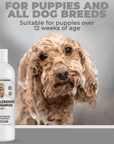 Close view of a wet curly coated dog with the Hypoallergenic Dog Shampoo bottle. Text notes it is suitable for puppies over 12 weeks and for all dog breeds.