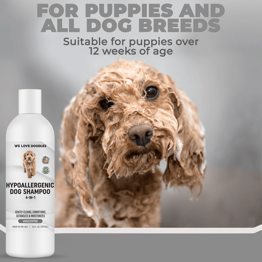 Close view of a wet curly coated dog with the Hypoallergenic Dog Shampoo bottle. Text notes it is suitable for puppies over 12 weeks and for all dog breeds.