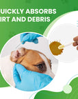 Graphic shows blue gloved hands wiping a dog ear with a cotton swab and a close view of a swab with brown residue to show quick absorption.