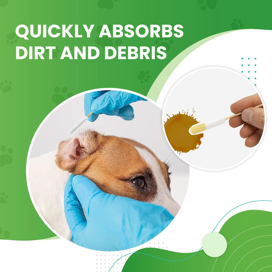 Graphic shows blue gloved hands wiping a dog ear with a cotton swab and a close view of a swab with brown residue to show quick absorption.