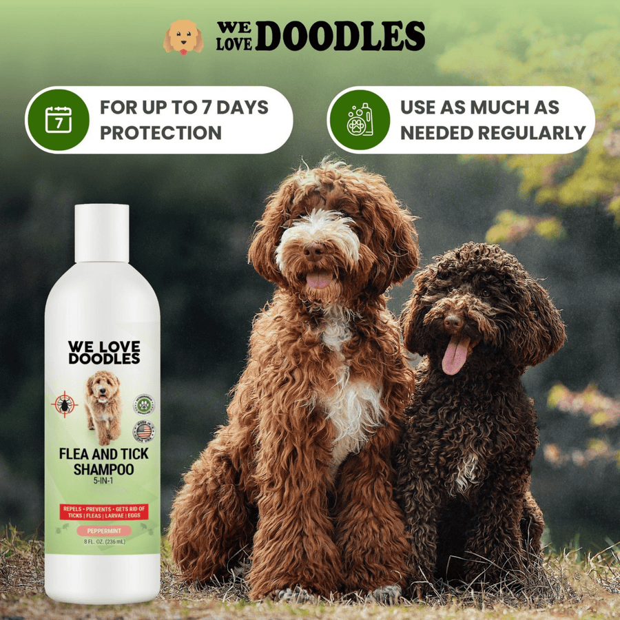 Two curly dogs sit on grass outdoors with tongues out. A product bottle appears at left with icons for up to 7 days protection and regular use.